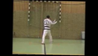 Ге-Бек  Ge-BaekTul-Taekwondo techniques 