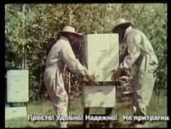 Пчеловодство в Советском Союзе