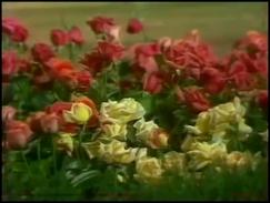 Евгений Мартынов - Земля цветов 1983