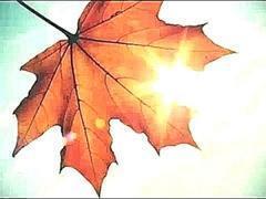 Осень-золотинушка фрагмент