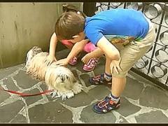 Kids and сute little dogs in Italy! Дети и прикольные