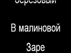 Витас - Малиновка karaoke
