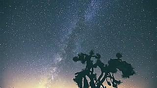 Joshua Tree Under The Milky Way / Млечный путь и персеиды